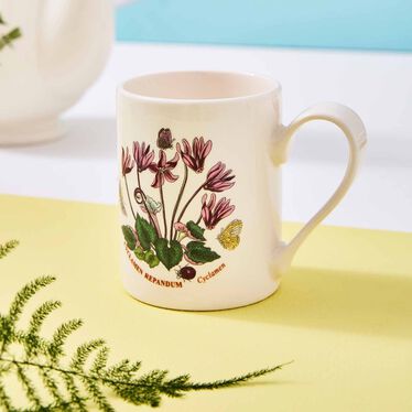 Botanic Garden Set of 6 Coffee Mugs